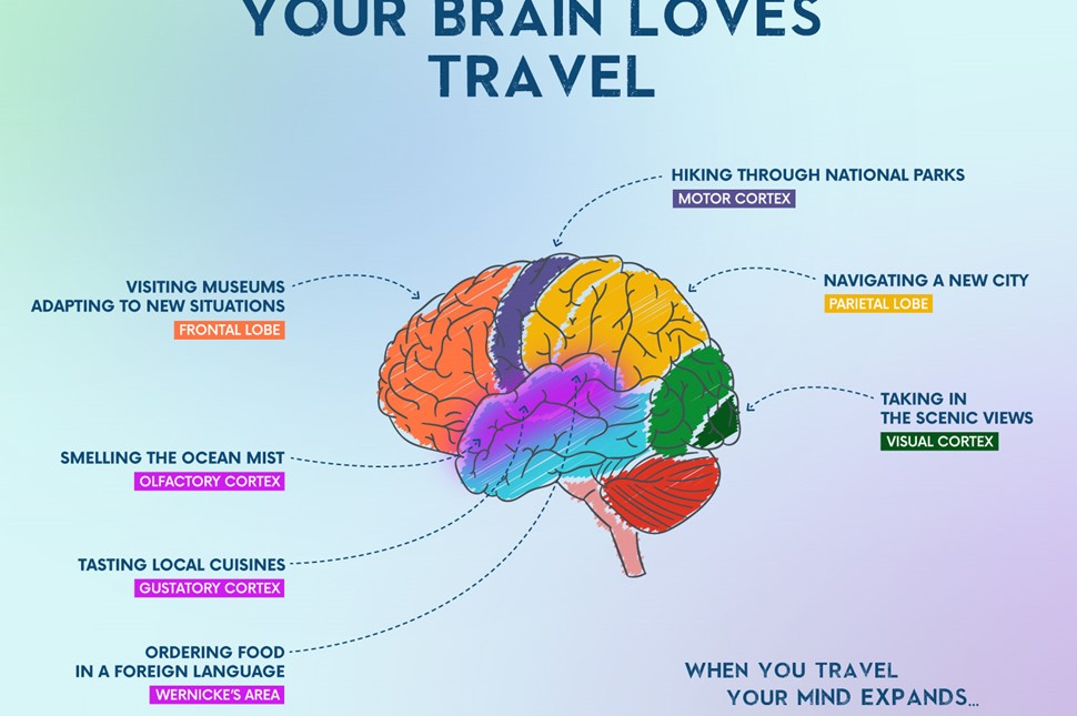 Love on the brain. Мозг и любовь. Волшебный мозг. Проекционные зоны коры головного мозга. Путешествие в мозг.